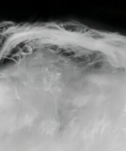 gotieuam 65 Bông gốm Alumina